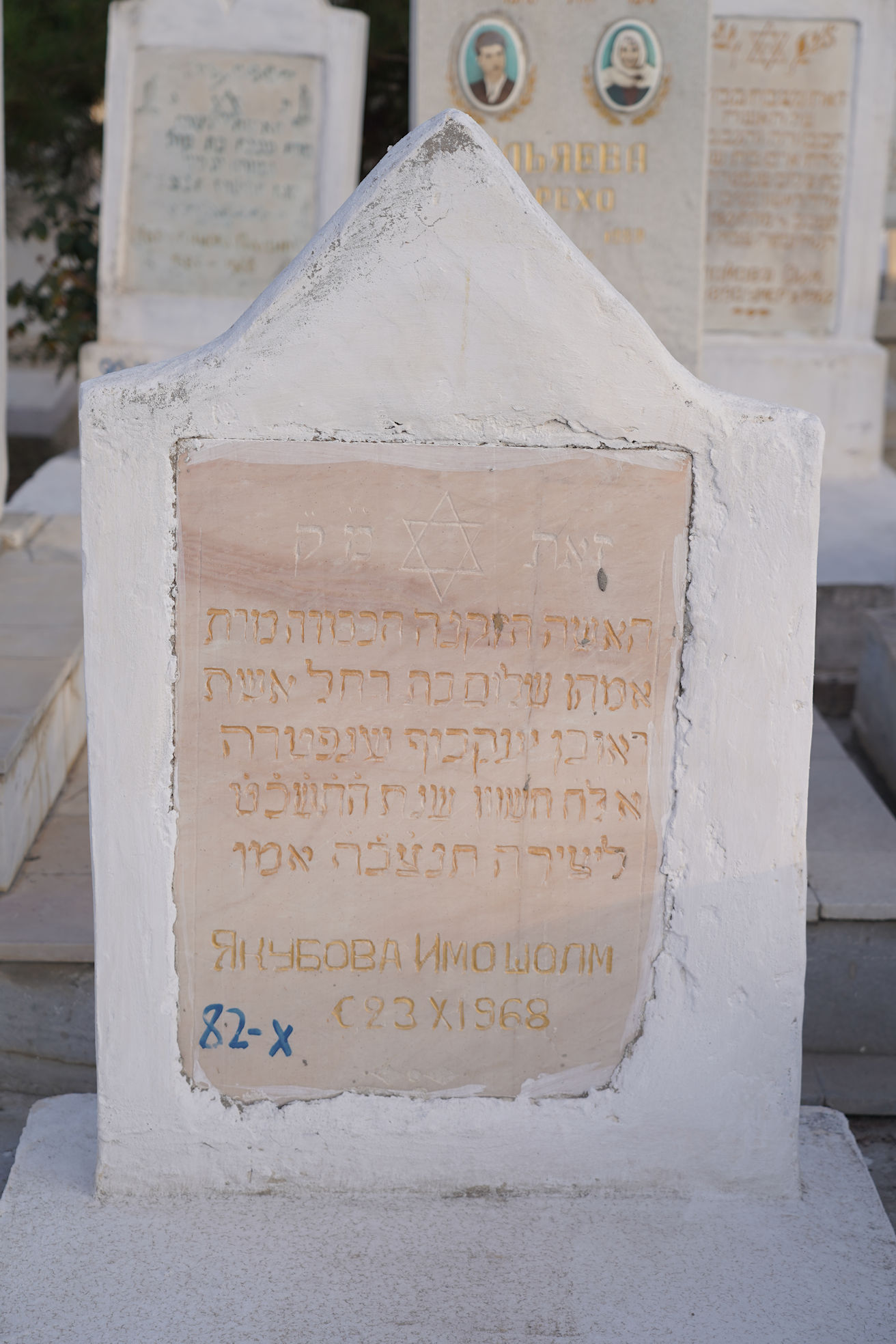 Image 2