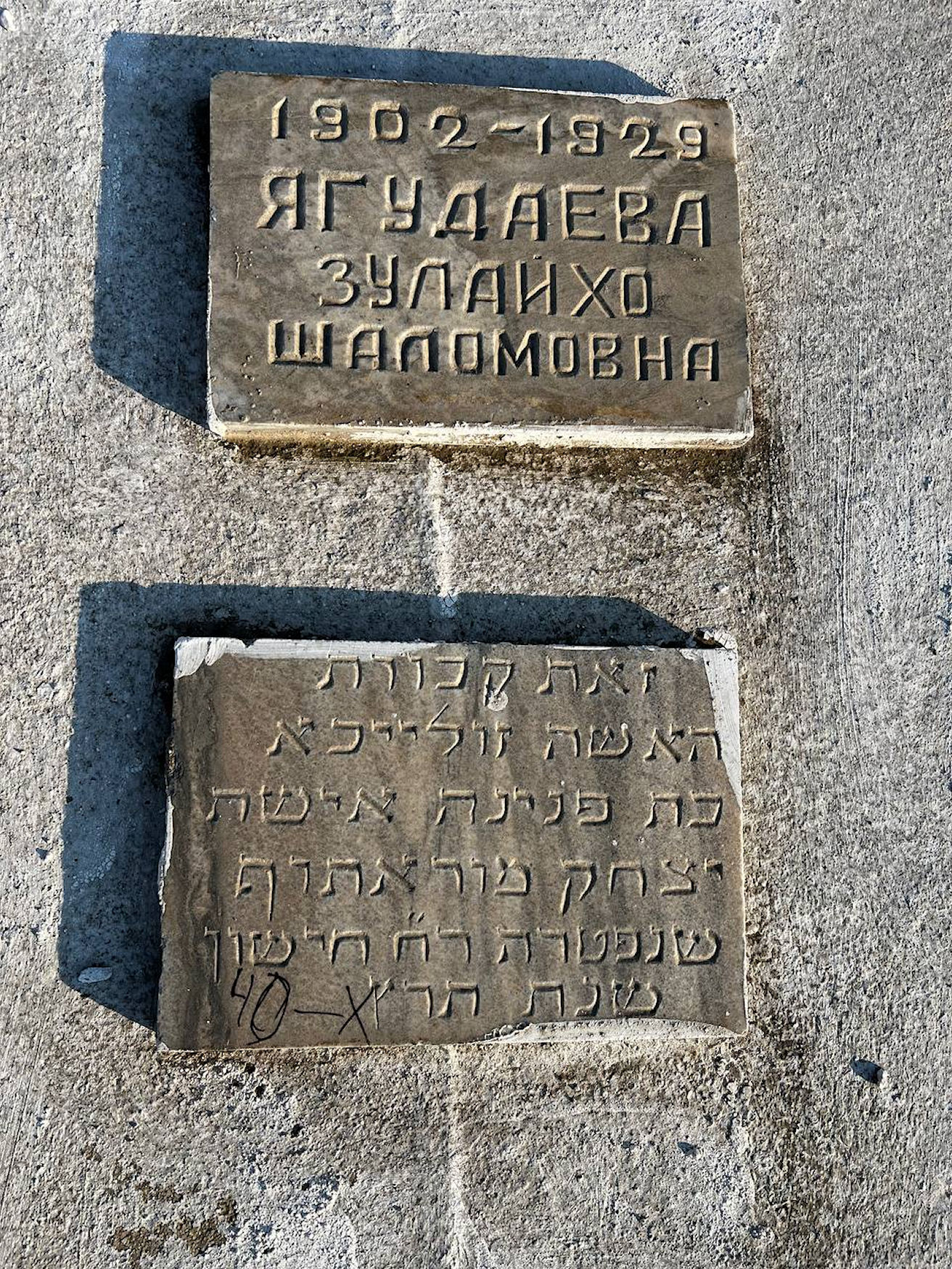 Image 2