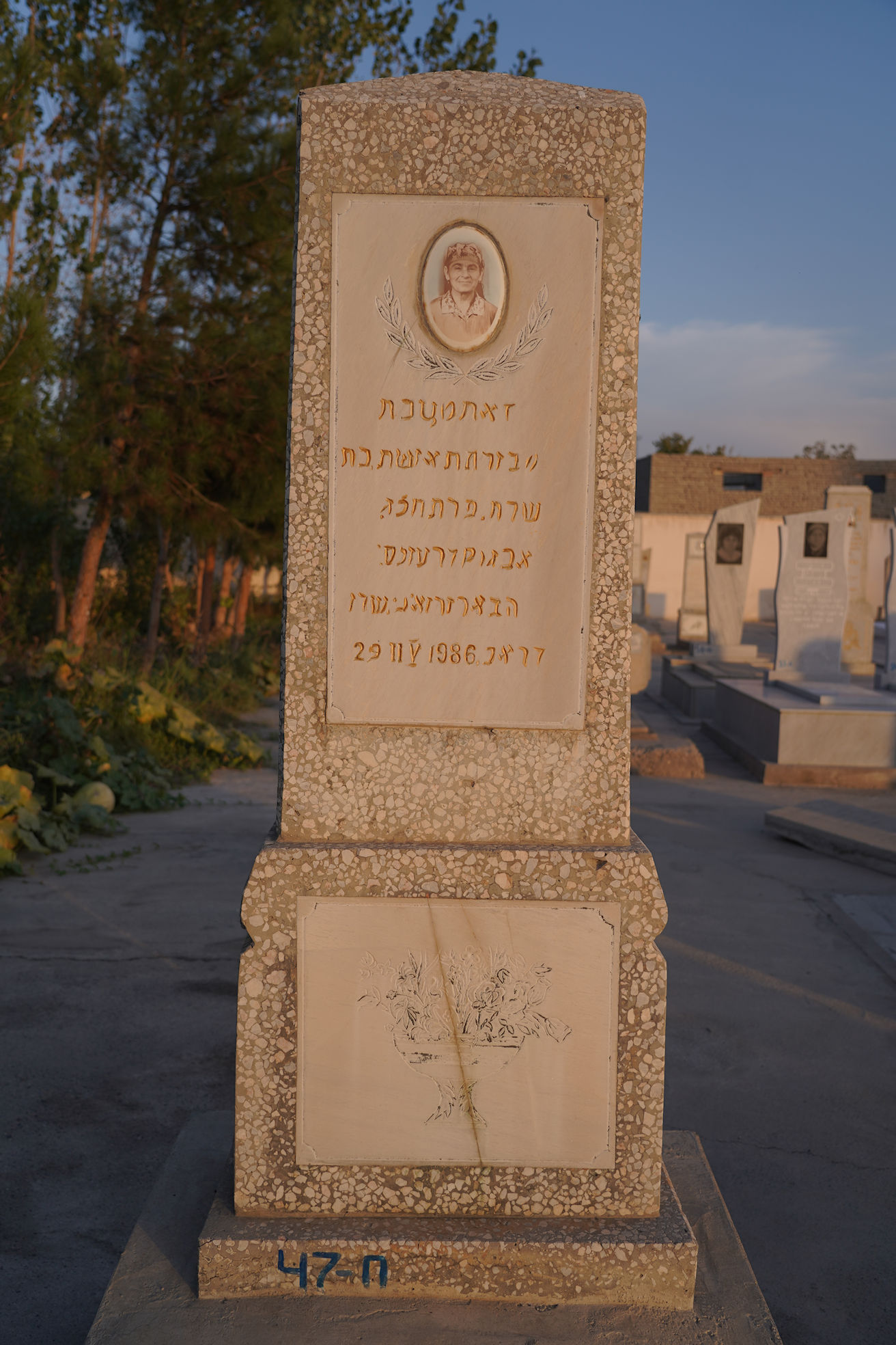 Image 2