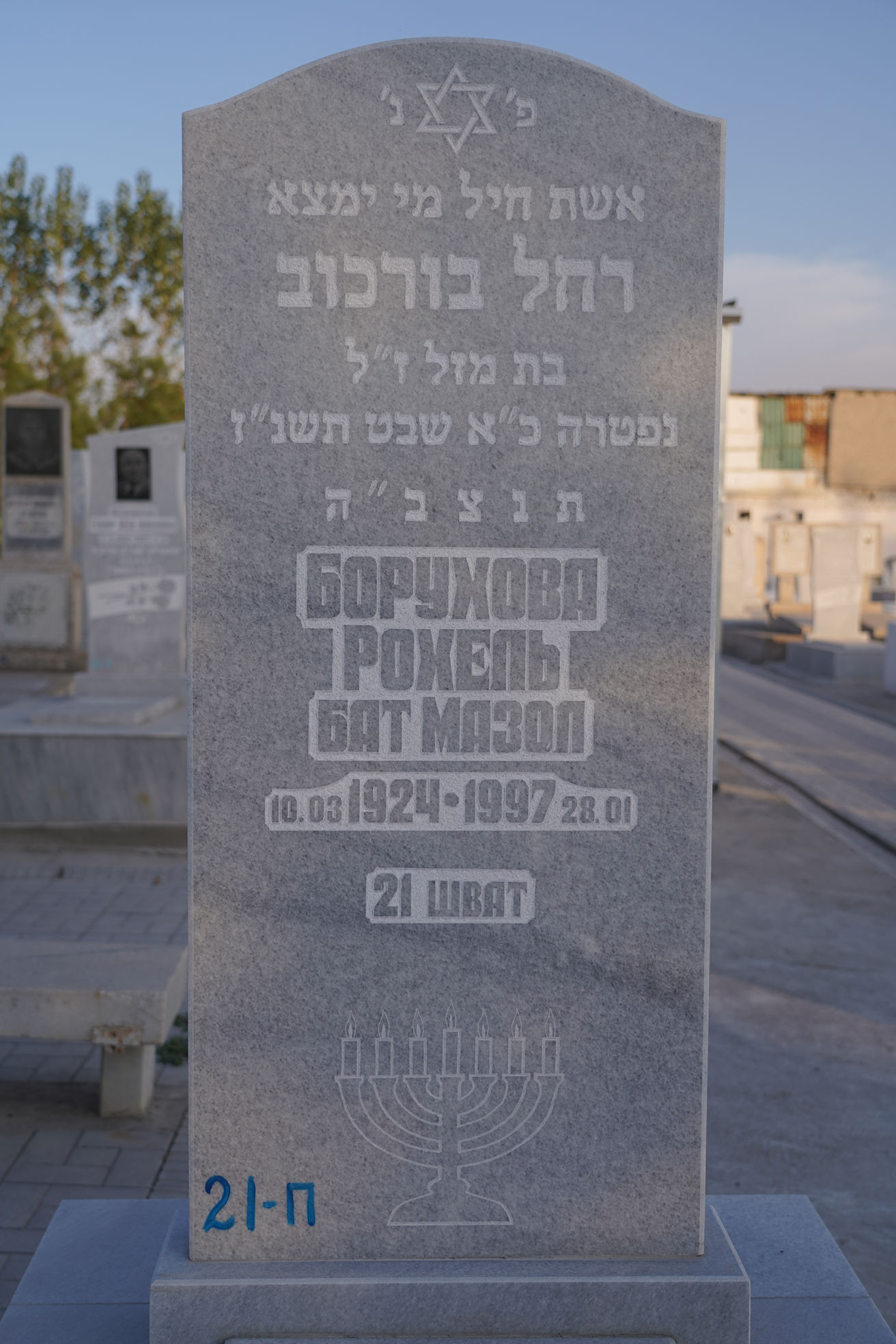 Image 2