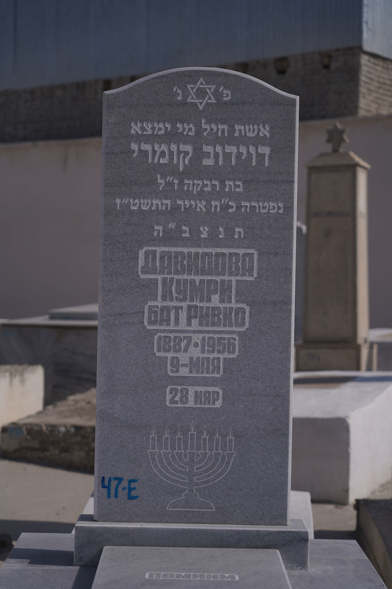 Image 2