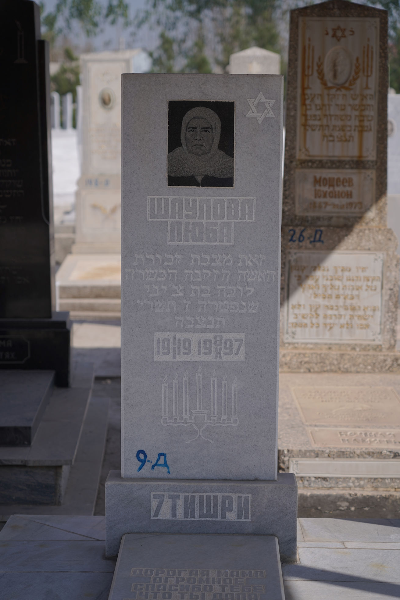 Image 2