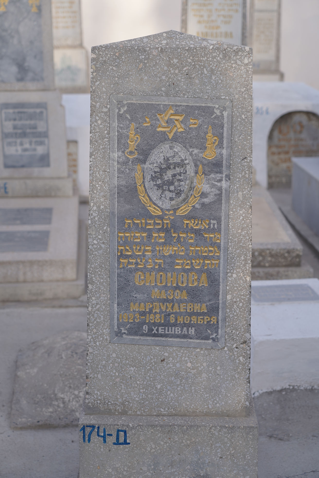 Image 2