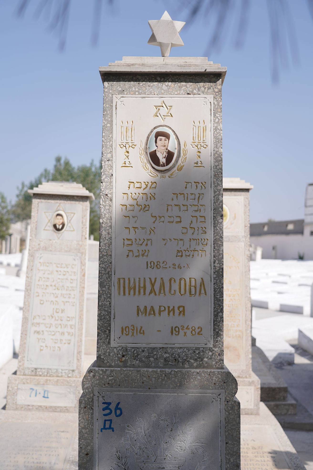 Image 2