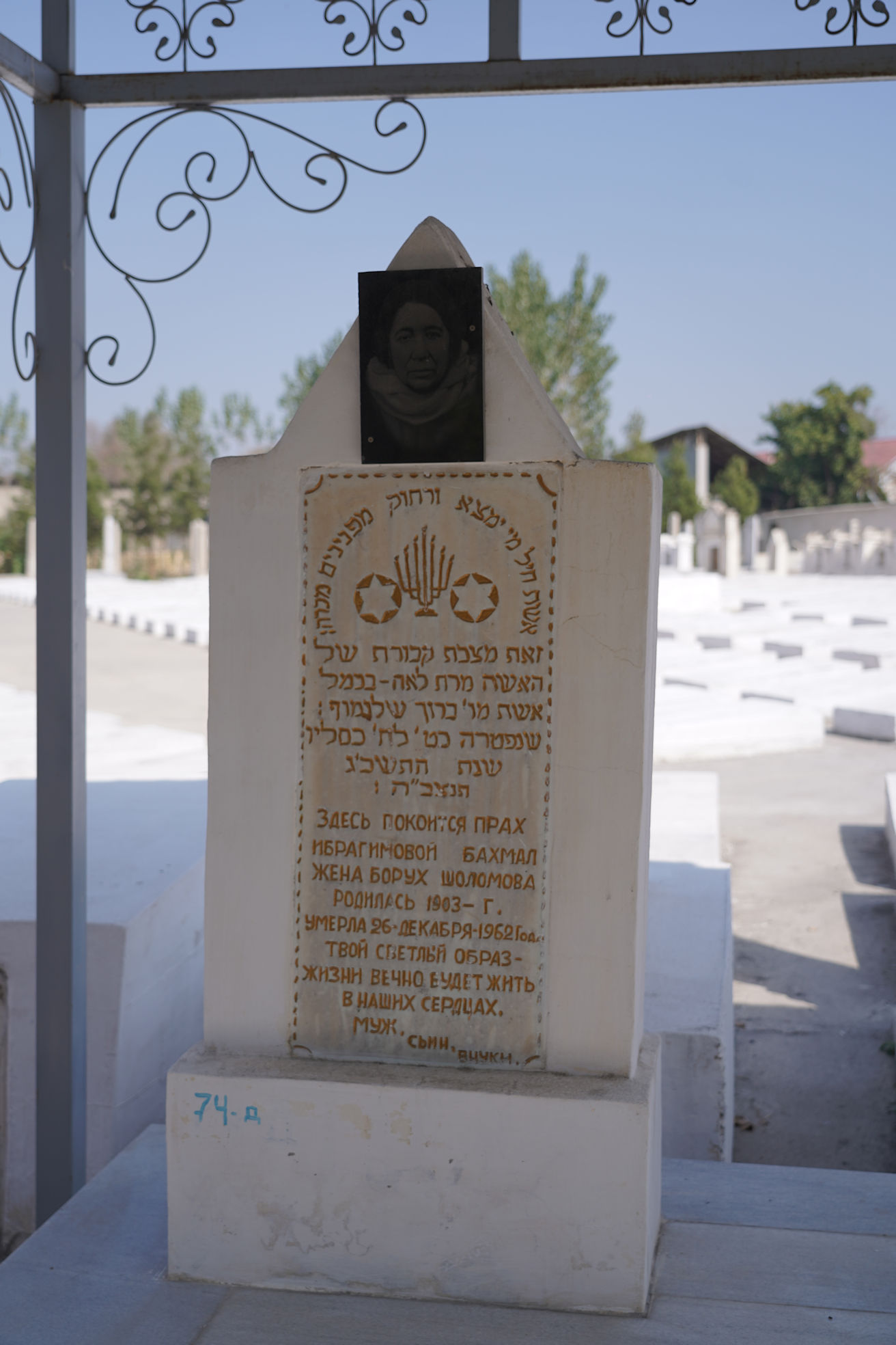 Image 3