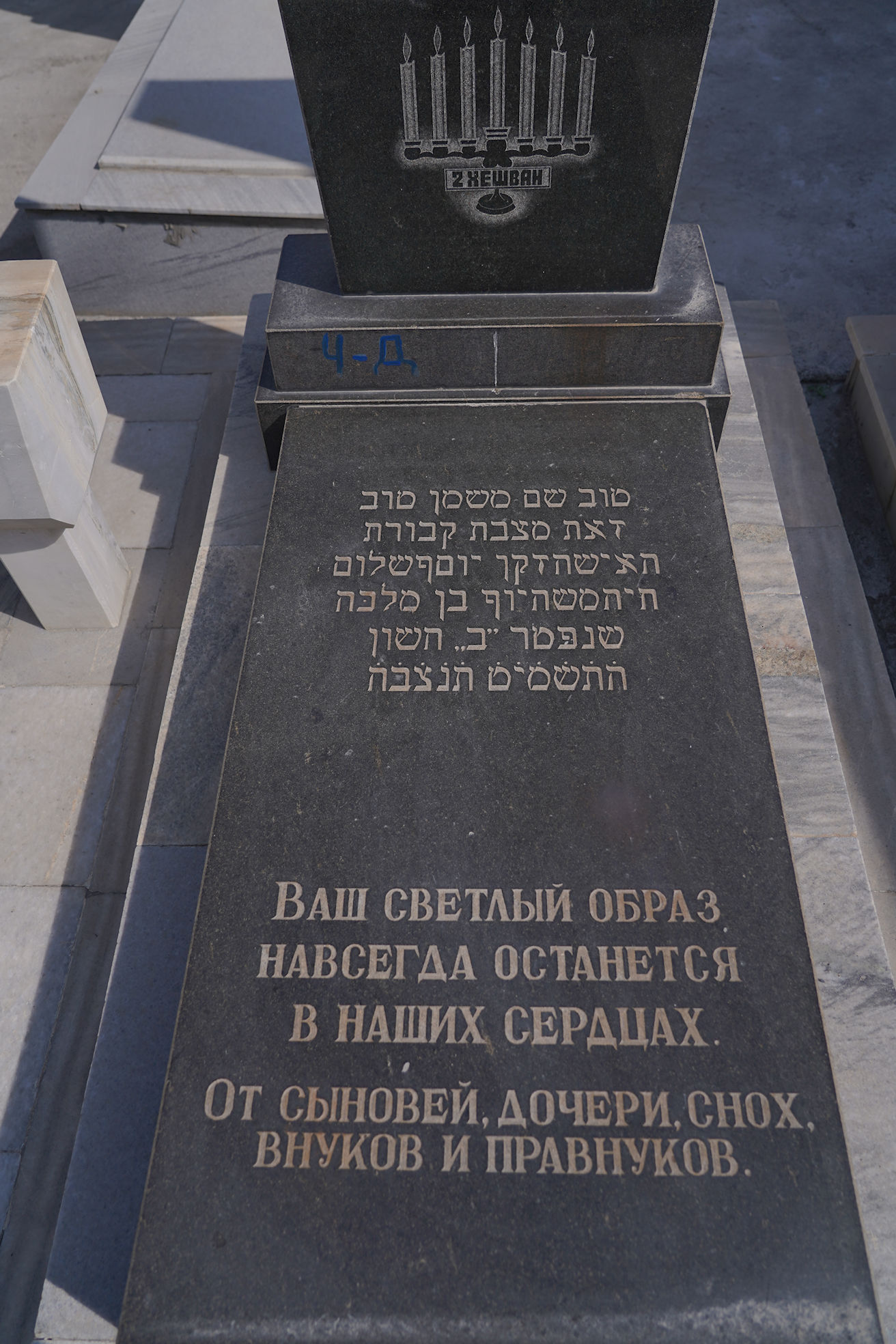 Image 3