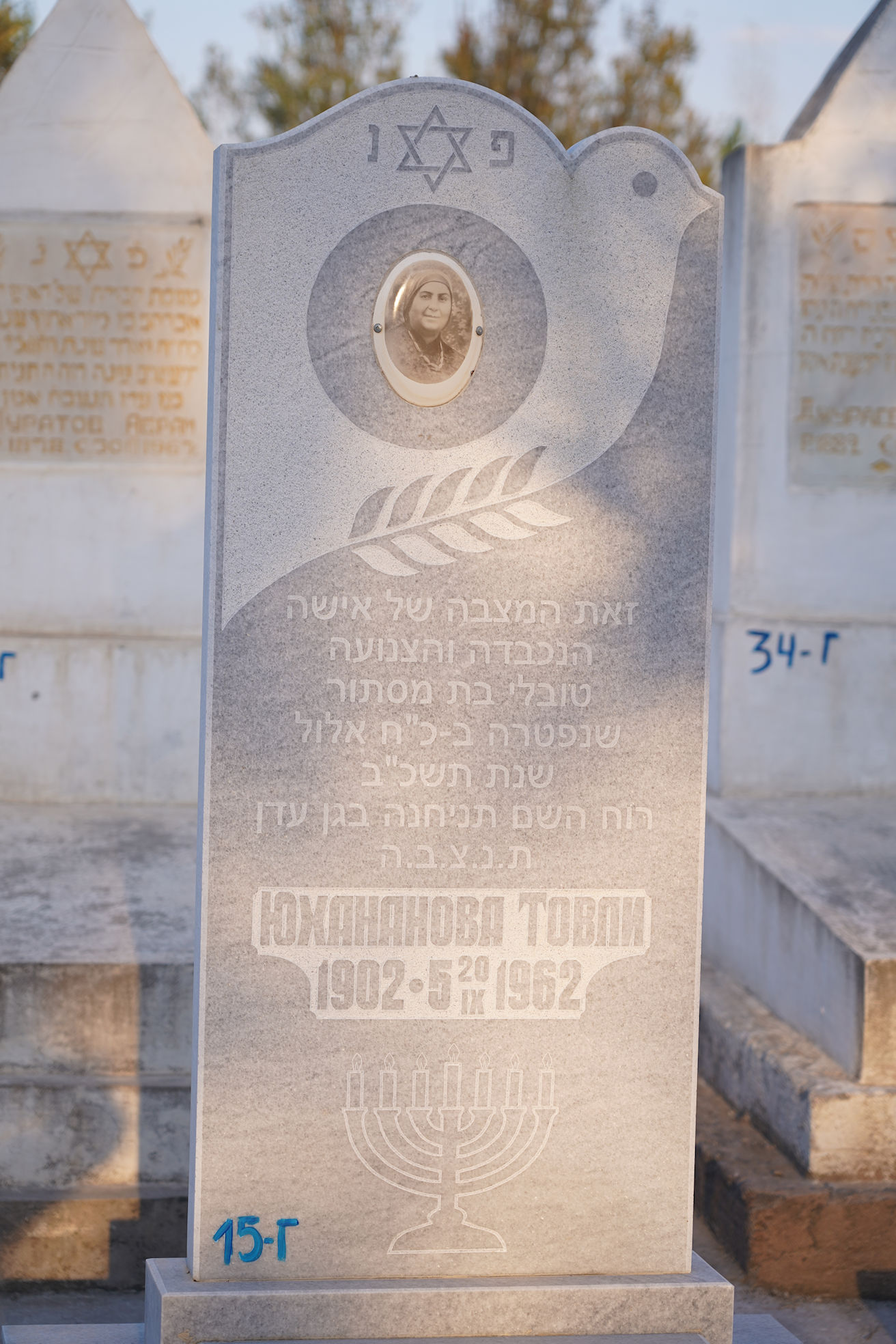 Image 3