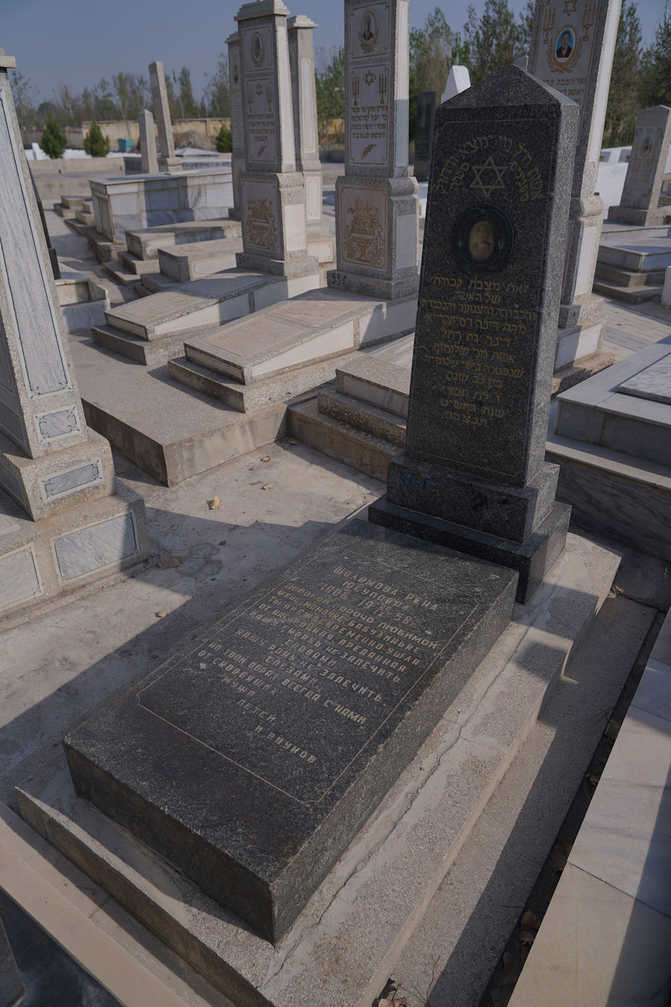 Image 3