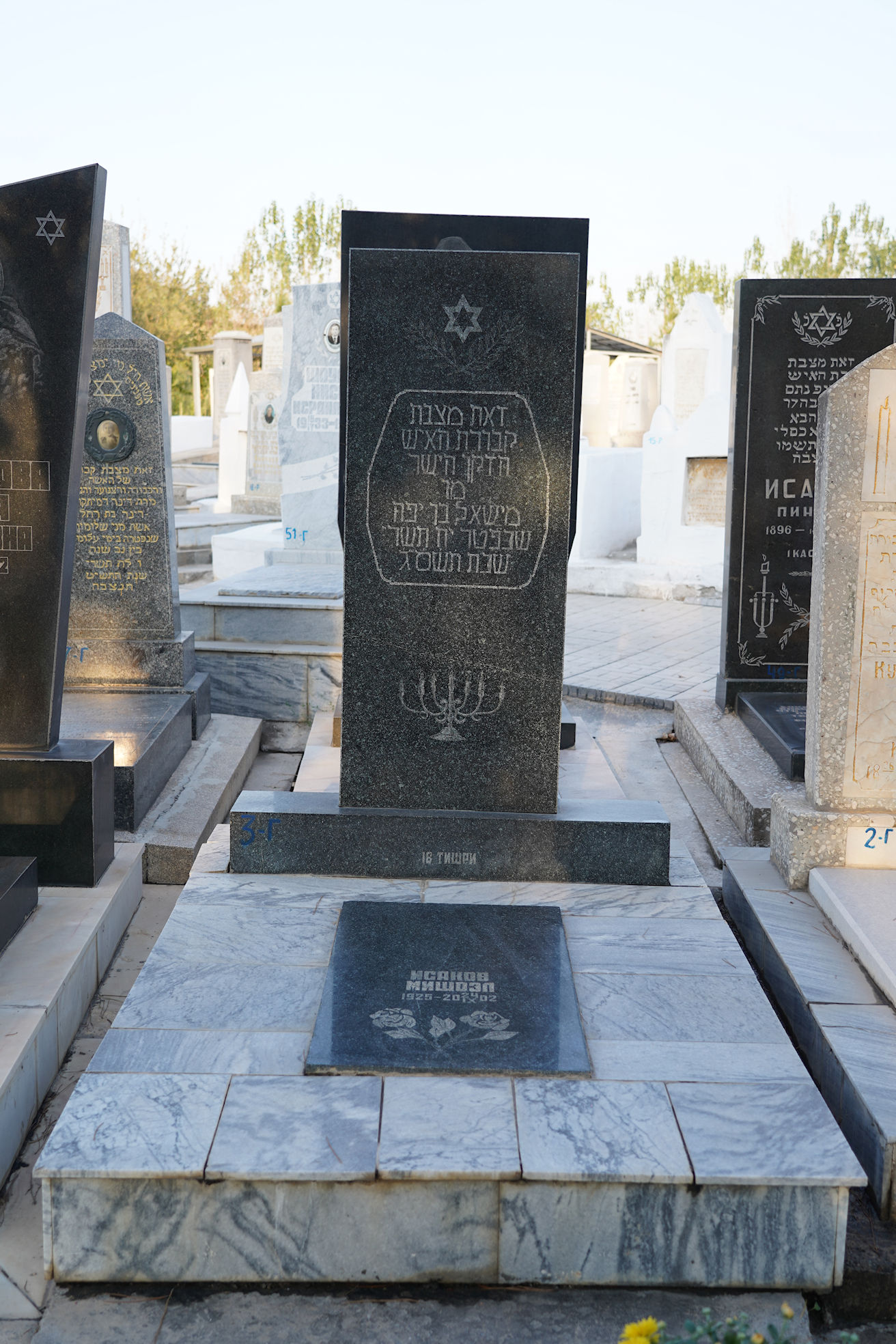 Image 4