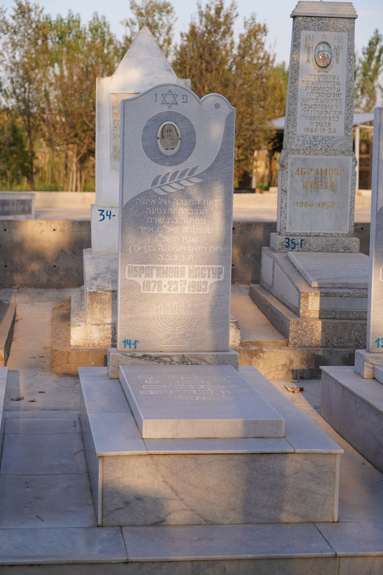 Image 3