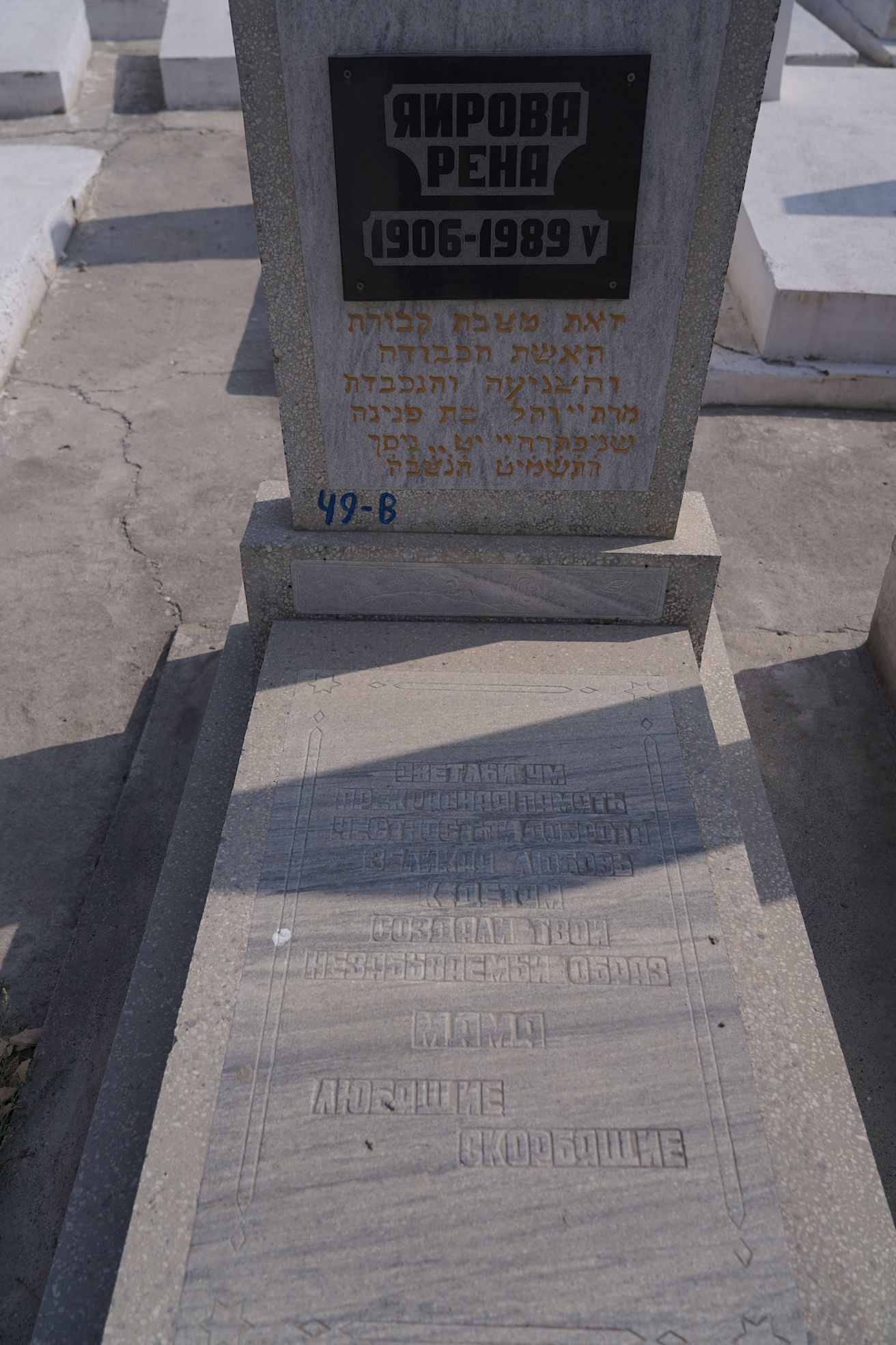 Image 3