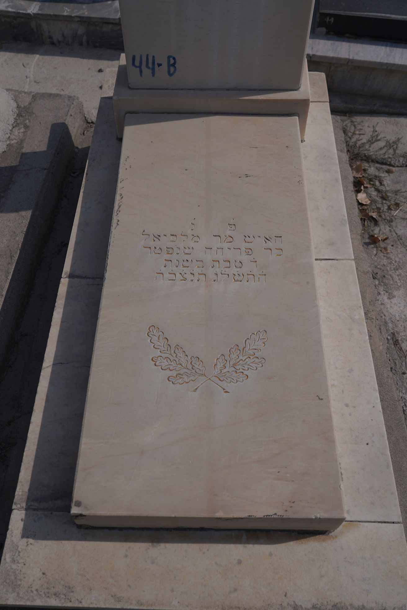 Image 3