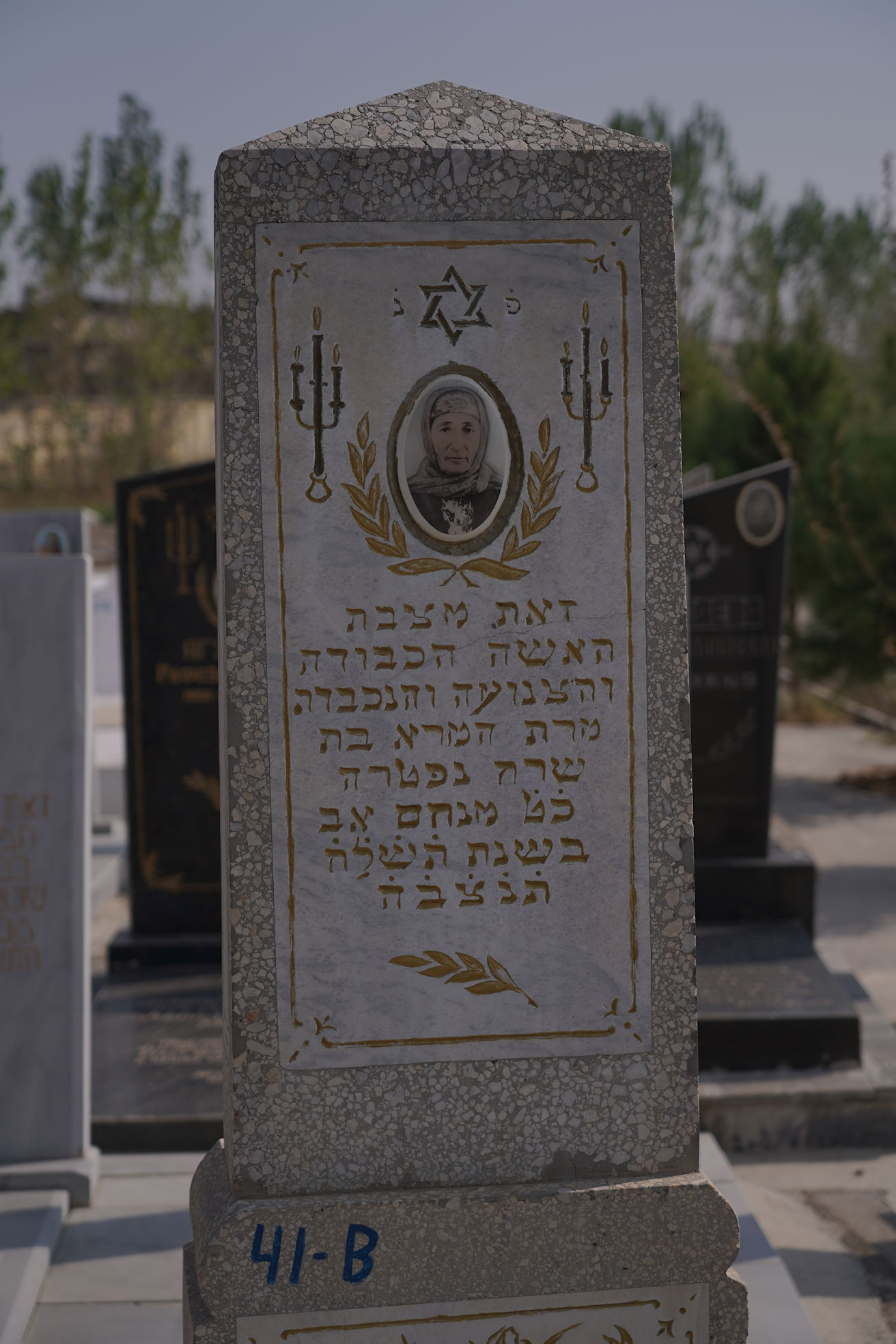 Image 2