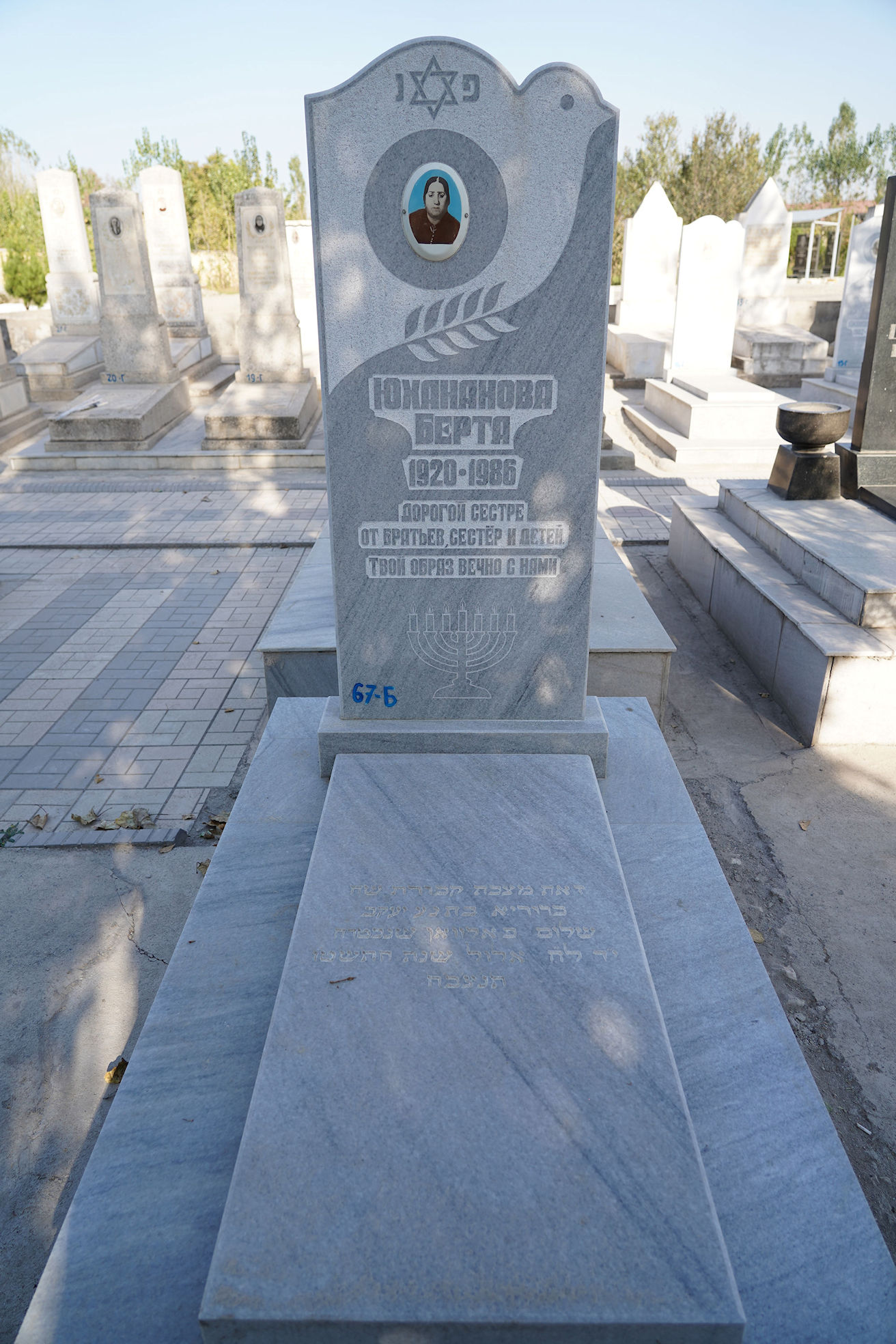 Image 4