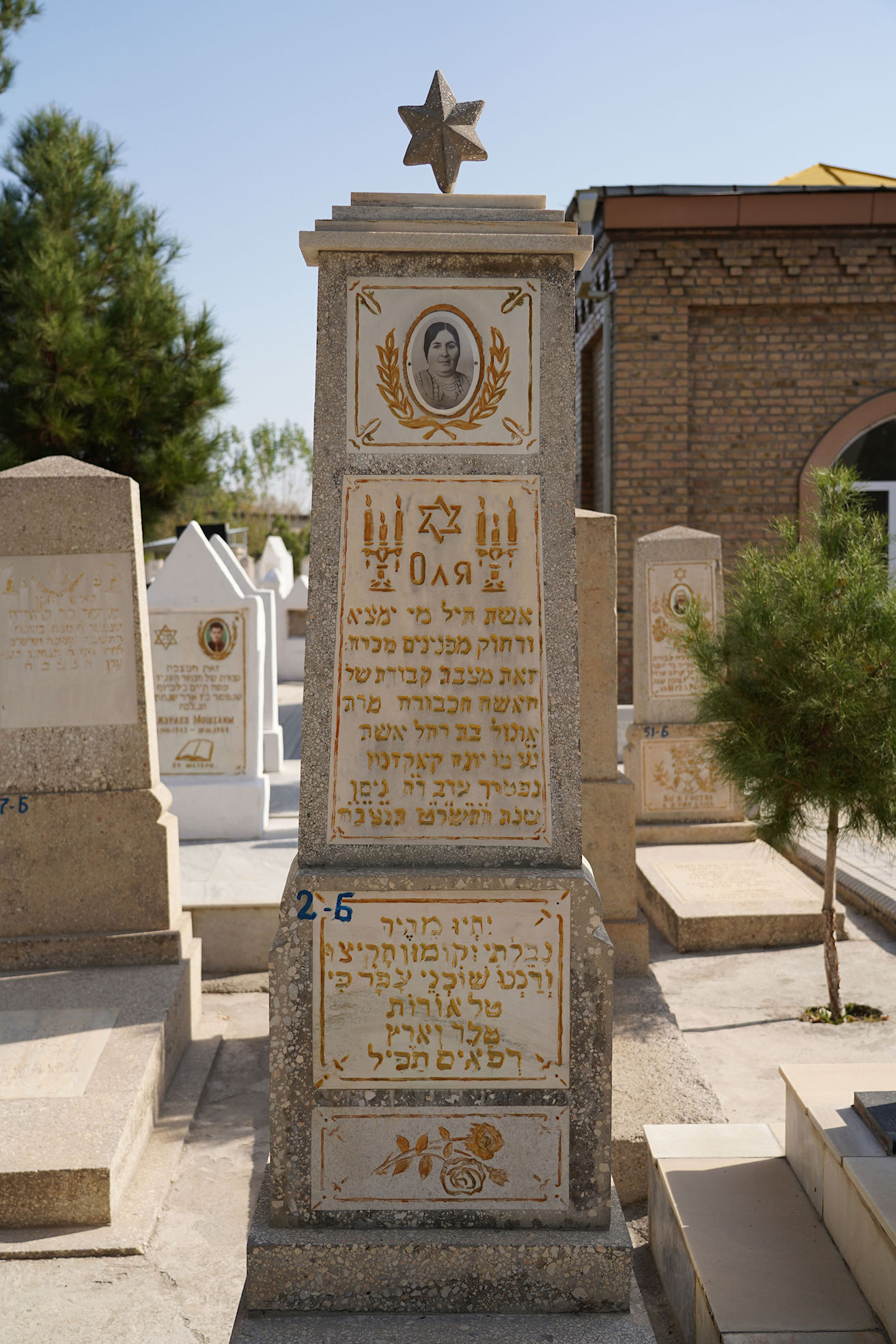 Image 2
