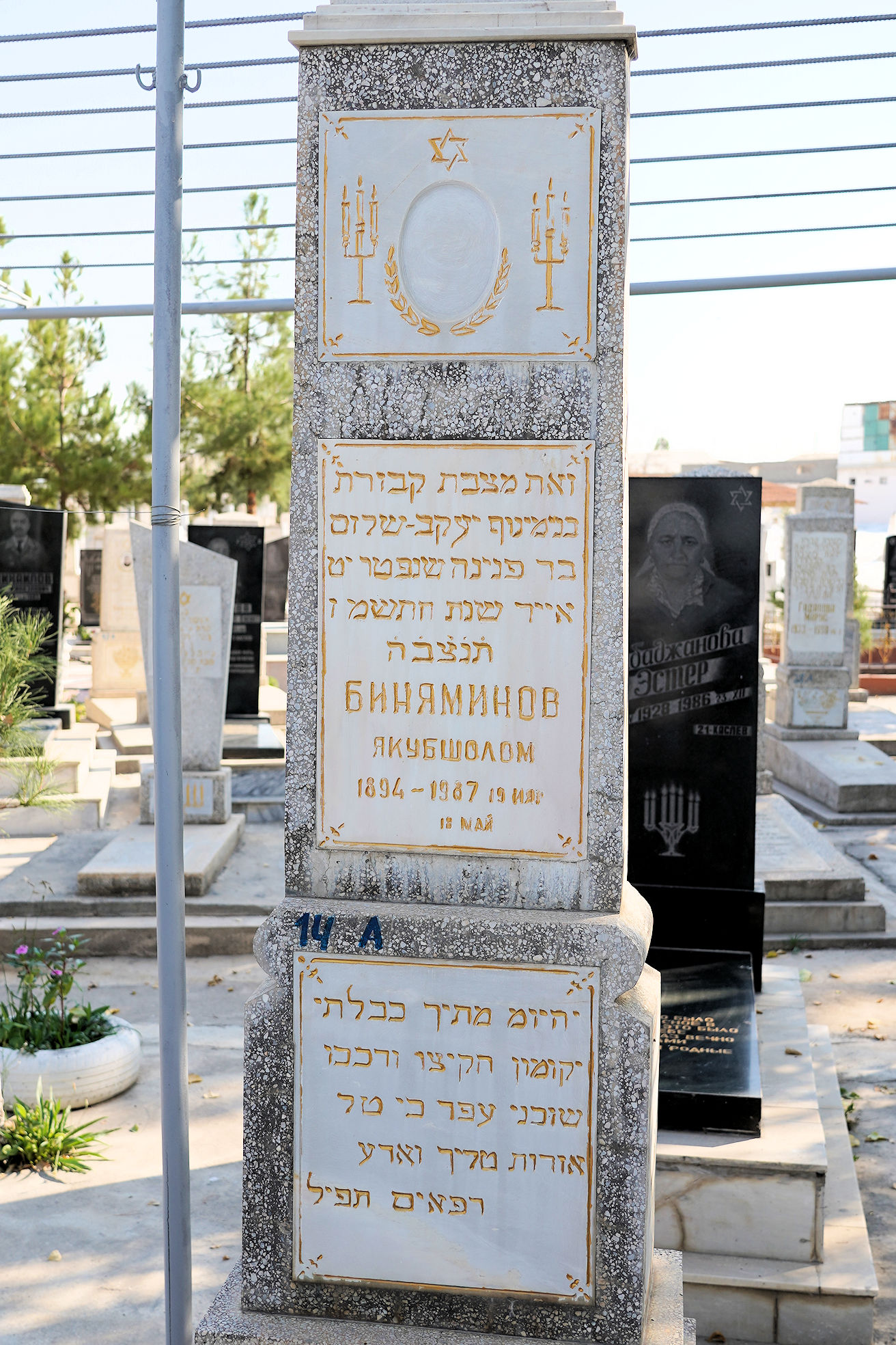 Image 2