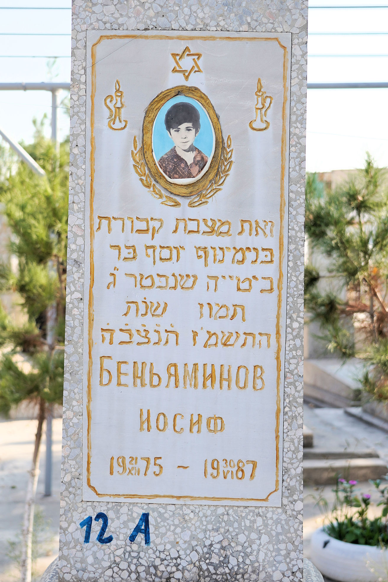 Image 2