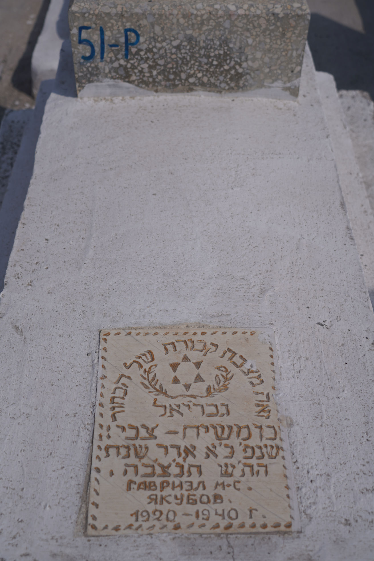 Image 3