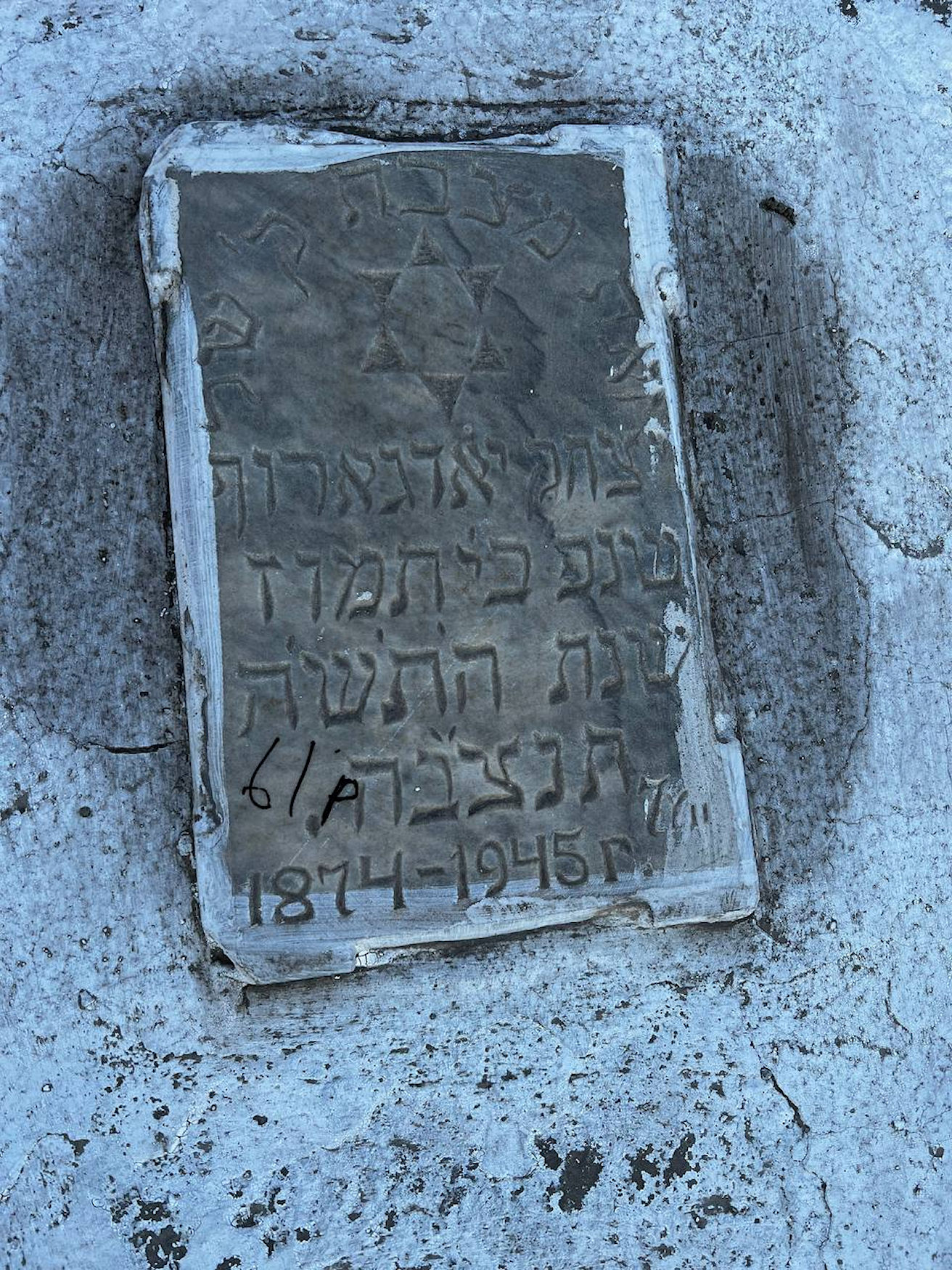 Image 3