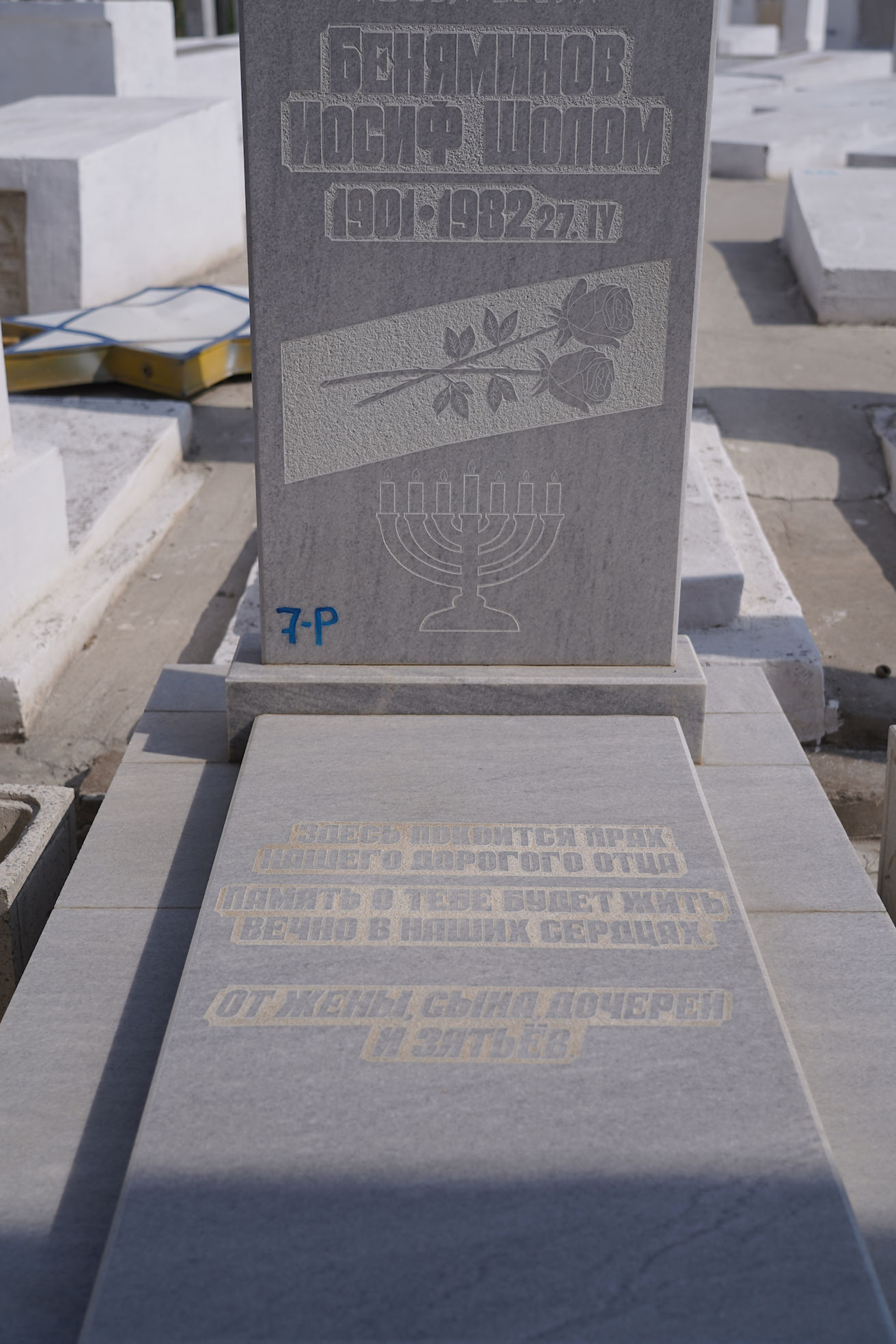 Image 3